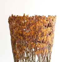<a href="https://www.galeriegosserez.com/artistes/clegg-shannon.html">Shannon Clegg</a> - « Flora » - Large Orange Gold Sculpture